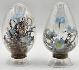 Vintage pair Glass Diorama Topiary's with Blue Flowers & Dried Stems Oval Shaped