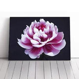 Delightful Peony Flower Canvas Print Wall Art Framed Picture Home Decor Large