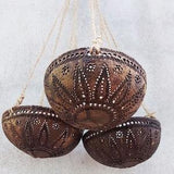 Set 3 PCS Tropical home decor, hanging planters, Handicraft and Eco-Friendly Coconut shell plant Pot/ Coconut planter pot with hanging rope.