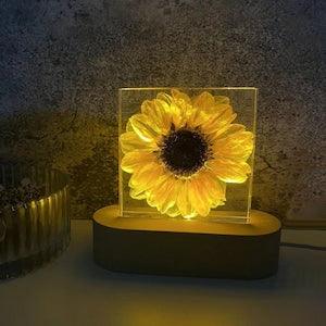 Real Sunflower Gifts For Wedding Gifts for Her Sunflower Resin Shelf  Decor Night Light Romantic Flower Girl  Gifts