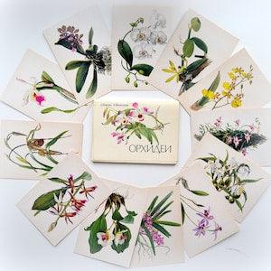 Orchids, a set of cards, 16 pieces, flowers, decor, drawing, collage, a set of vintage flowers, botany, ephemera