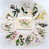 Orchids, a set of cards, 16 pieces, flowers, decor, drawing, collage, a set of vintage flowers, botany, ephemera