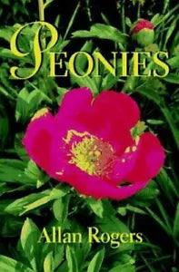 Peonies by Rogers, Allan