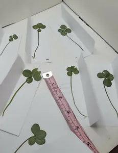 Real Dried Four Leaf Clovers. St. Patrick's Day Gifts. Lucky Charms.?
