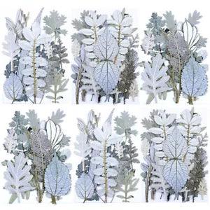 Pressed Dried Flowers Leaves Filling For Epoxy Resin Craft Jewelry Making Leaves
