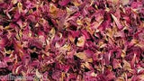 Rose Flower Petals 500g Sun Dried Edible Natural Gulab Soap Food Free Ship