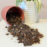 Premium Aroid Mix