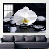 Botanical Artwork, Orchid Lover Gift Glass, Orchid Wall Decor, Spa Stones And Orchid Wall Hanging, Black Wall Art Canvas Art, Home Decor,