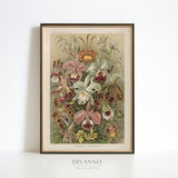 Vintage Orchid Poster, Ernst Haeckel Giclee Print, Exotic Plant Wall Art, Flowers Canvas Decor, Kunstformen der Natur Printable, Gift Idea