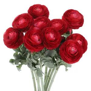 Artificial Ranunculus Flowers, 10 Stems Faux Permanent Flower Floral, Drak Red