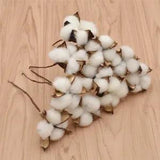 10X Natural Cotton Dried Flower Heads Artificial Branch Wedding Party Home Decor