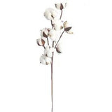10 Head Dried Flower Long Branch Cotton Simulation Cotton Tree Branch Decor