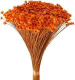 Homeford Dried Natural Star Flowers Bundle (Orange)
