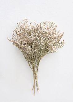Natural German Statice | Dried & Preserved Flowers | Afloral.com Flower Delivery