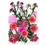 ? Dried Flower Material Package DIY Natural Dry Flowers for Scrapbook Suite