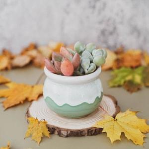 Milky Green Ceramic Planter With Drainage Hole/(1 POT)/Cactus Succulent Plant Pot/Small Fern Flower Pot Gift Garden Desk Decoration