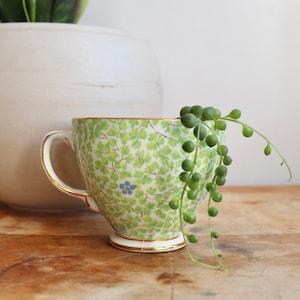 Sampson Smith Old Royal Bone China Teacup Planter Green Floral