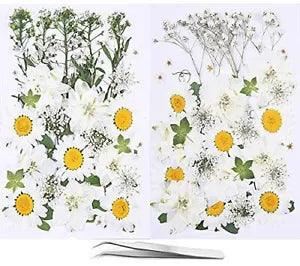 73PCS White Dried Pressed Flowers for Resin - Youthbro Real Nature Flowers He...