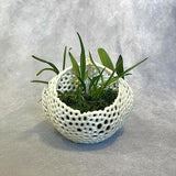 Triple Orchid Planter Mesh Orchid Pot Orchid Basket Airplant Pot Succulent Pot