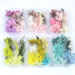 1x Box Dried Flower Aromatherapy Epoxy Resin Filling Craft Decor Accessories DIY