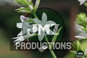 JMZ Productions - Original Photography - "August-lily in July" - 7/27/2022 - 5x7
