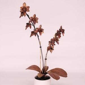 Orchid #3 Copper