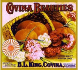 Covina Beauties Pink Carnation Flowers Orange Citrus Fruit Crate Label Art Print