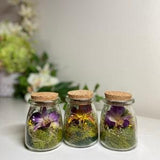 Dried flower/Orchid Garden Terrarium/Terrarium/Preserved Moss Terrarium/Preserved & Dried flower Terrarium/Home Decor/Gift