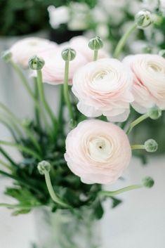 Earth Anthem Flower Delivery