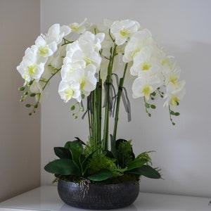 XL Orchid Arrangement - Silk orchid arrangement - Faux  plant - Housewarming gift