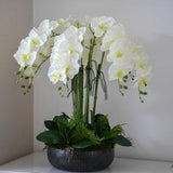 XL Orchid Arrangement - Silk orchid arrangement - Faux  plant - Housewarming gift