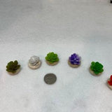 Miniature succulent plants , dollhouse plants, mini decor, tiny greenery