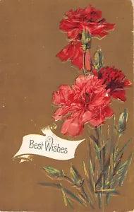 Lovely Carnations on a Gold Background on 1911 Best Wishes Postcard - 164-11