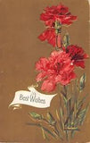 Lovely Carnations on a Gold Background on 1911 Best Wishes Postcard - 164-11