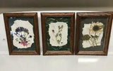 Wyoming Jackson Hole Signed Dried Pressed Flowers Foliage ~ Wood Frames (3)