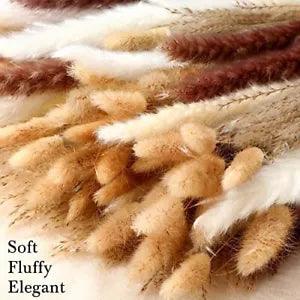 New Listing650 Pcs Pampas Grass Decor Bulk Dried Bunny Tail 17" Boho Dried Flowers