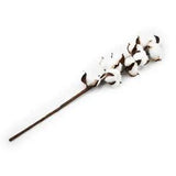 53cm Naturally Dry Cotton Stems Farmhouse Artificial Flower Filler Floral Decor