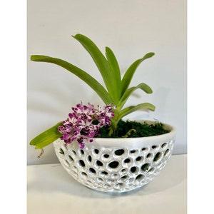 Orchid Bowl Pot Planter, Decorative Bowl Mesh Bowl Air Plant Pot Orchid Planter Mesh Orchid Pot, Gift for Her, Mother's Day Gift
