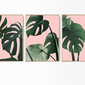 Monstera Set of 3 Tropical Leaves Set Pink Monstera Leaf Tropical Botanical Wall Art Foliage Pink Green Modern Monstera Art Green Plant Set