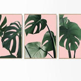 Monstera Set of 3 Tropical Leaves Set Pink Monstera Leaf Tropical Botanical Wall Art Foliage Pink Green Modern Monstera Art Green Plant Set