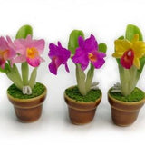 3 Dollhouse Miniature Accessories Purple Pink Yellow Artificial Cattleya Orchid in Ceramic Brow Pot Pots Fairy Garden Ornament Home Decor