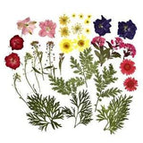 1 Pack Dried Flowers UV Resin Flower Stickers Dry Beauty Decal For DIY...