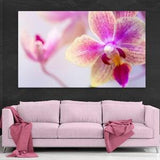 Orchid Canvas Print, Orchid Wall Art, Floral Decor, Framed Large Wall Art, Flower Wall Print, Pink Print, Canvas Wall Art, Pink Wall Art