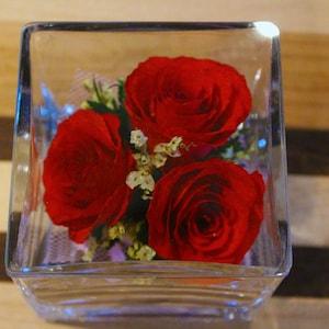 Eternity Roses, Roses, REAL roses, Gifts for her, Gifts for him, 2023 Valentine's Gift, Anniversary, Wedding, Couple Gifts, Father's Day
