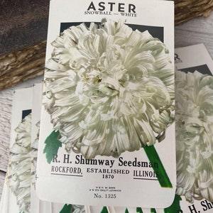 Vintage seed packs, Snowball white Asterix, unused NOS envelope, Junk journal Ephemera, Botanical, Flowers, 5 pcs