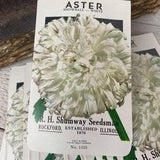 Vintage seed packs, Snowball white Asterix, unused NOS envelope, Junk journal Ephemera, Botanical, Flowers, 5 pcs