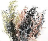 RUSCUS STEM RUSCUS FOLIAGE FLOWERS FAUX SILK DRIED LOOK LEF STEM FLOWER GREENERY