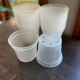 4.5" Clear Plastic Orchid Pot - Pack of 5| Potting Media | Orchid Bark | Aroid | Tropical | Soil Amendments |