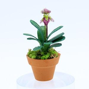 Lady Slipper Orchid (One Spike) ??C Dollhouse Miniature Plant ??C Handmade in NYC, 1:12 Scale