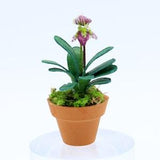 Lady Slipper Orchid (One Spike) ??C Dollhouse Miniature Plant ??C Handmade in NYC, 1:12 Scale